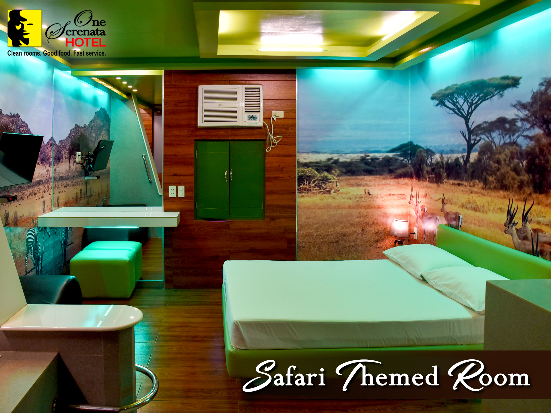 Safari Themed Room 2
